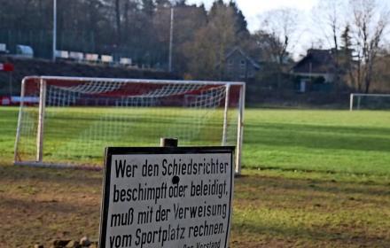 Der Barsinghäuser Sportring hat eine aus Sicht des Sports sehr positive Bilanz des zu Ende gehenden Jahres gezogen